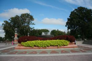 IMG 7142