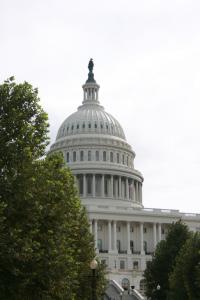 IMG 7147