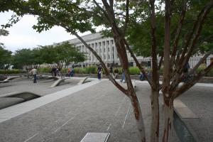 IMG 7314