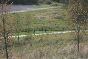 IMG 7341
