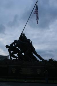 IMG 7885